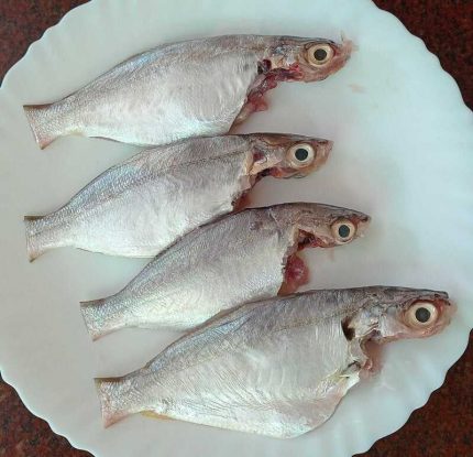 White Fish / Sunom - 500 Gm